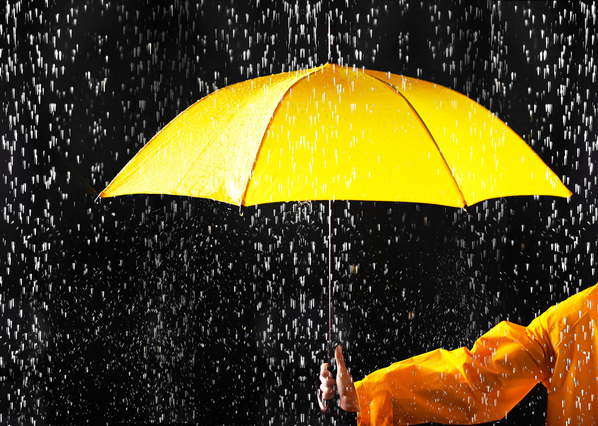 Thomas Cook bankruptcy: could hotels have minimized its impact?